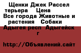 Щенки Джек Рассел терьера  › Цена ­ 15 000 - Все города Животные и растения » Собаки   . Адыгея респ.,Адыгейск г.